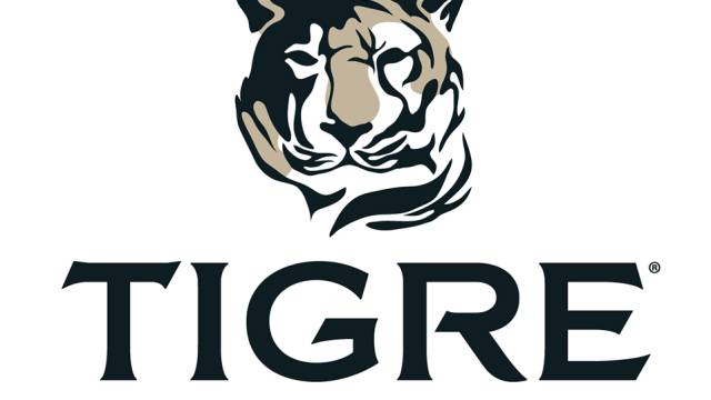 Tigre de Cristal: una storia di successo del casinò russo