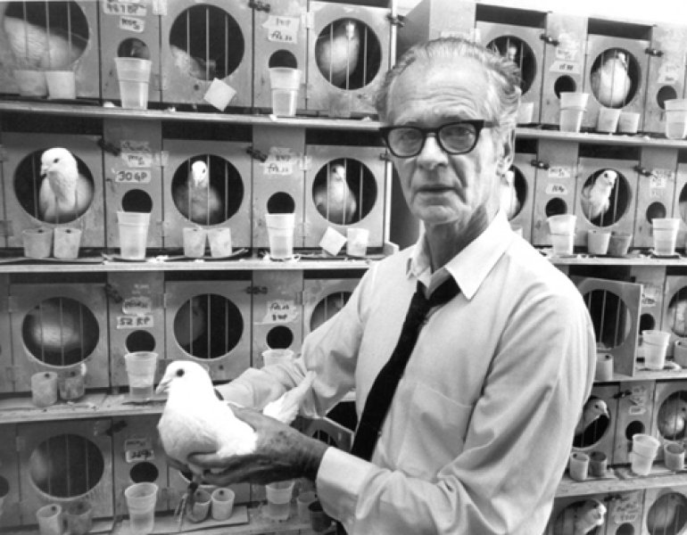 Gli esperimenti di B.F. Skinner