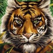 10 001 Nights MegaWays: Tigre