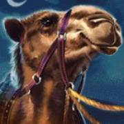 10 001 Nights MegaWays: Cammello