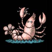 1429 Uncharted Seas: Aragosta
