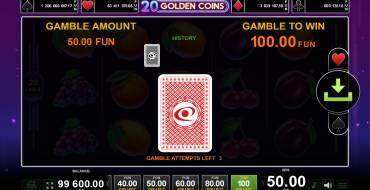 20 Golden Coins: Gioco del rischio