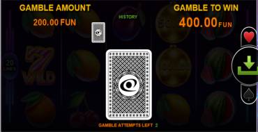 20 Golden Coins — Christmas Edition: Gioco del rischio
