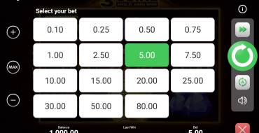 3 Coins Hold and Win: Scommessa