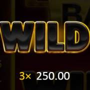 3 Coins Hold and Win: Selvaggio