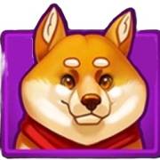3 Hot Teapots: Shiba Inu