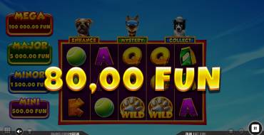 3 Top Dogs: Vincite