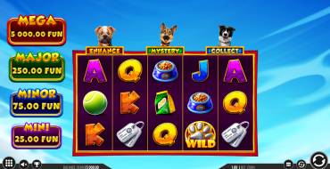 3 Top Dogs: Interfaccia