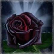 Rosa simbolo in Dracula's Gems slot