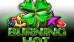 Slot 40 Burning Hot Clover Chance