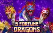 Slot 5 Fortune Dragon