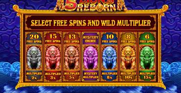 5 Lions Reborn: Caratteristiche uniche