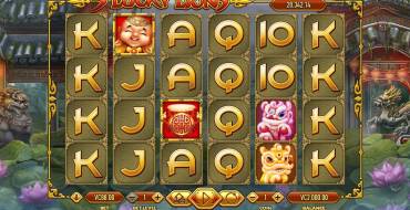 5 Lucky Lions: La schermata principale