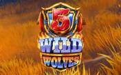 Slot 5 Wild Wolves