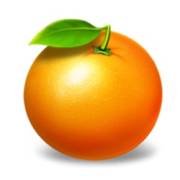 5x6 Fruity Shots: Arancione