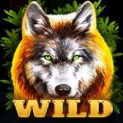 Selvaggio simbolo in Wolf Fang Deep Forest slot