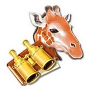 Africa Gold: Giraffa, Binocolo