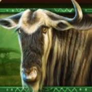 African Elephant: Gnu