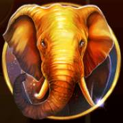 African Fortune: Elefante