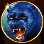 African Fortune: Pantera