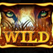 African Luck: Selvaggio