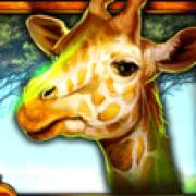 African Luck: Giraffa