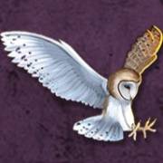 Age of Athena: Gufo