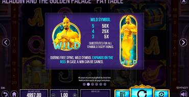 Aladdin and the Golden Palace: Caratteristiche uniche