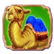 Aladdin’s Lamp: Cammello
