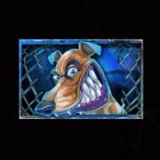Angry Dogs: Ragazzo