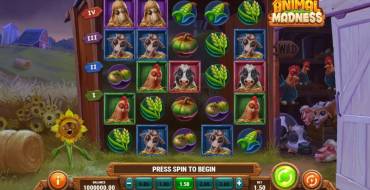 Animal Madness: Tema