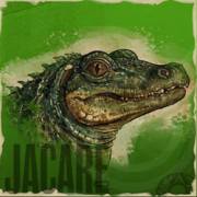 Animals Strike: Coccodrillo