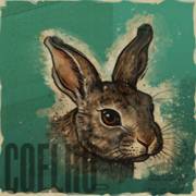 Animals Strike: Lepre