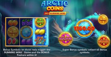 Arctic Coins: Running Wins: Giochi bonus