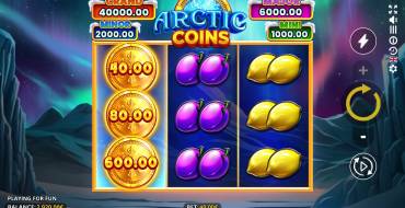 Arctic Coins: Running Wins: Interfaccia