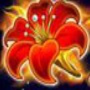 Arising Phoenix: Fiore