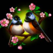 Bamboo Grove: Uccelli