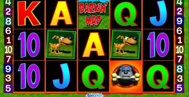 Barkin’ Mad: Elementi speciali