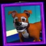 Barkin’ Mad: Cagnolino