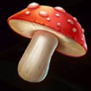 Barn Festival: Fungo