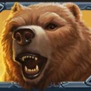 Beasts of Fire: Orso