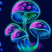 Beauty Fairy: Funghi