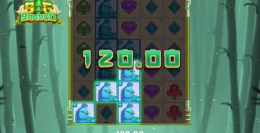 Big Bamboo: Vincite