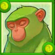 Big Bamboo: Scimmia