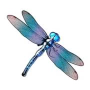 Big Bass Bonanza 1000: Libellula