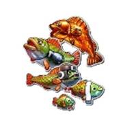 Big Bass Boxing Bonus Round: Pesce (qualsiasi linea)