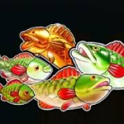 Big Bass Splash: Pesce