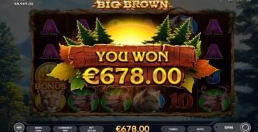 Big Brown: Vincite