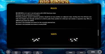 Big Brown: Regole