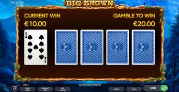 Big Brown: Gioco del rischio